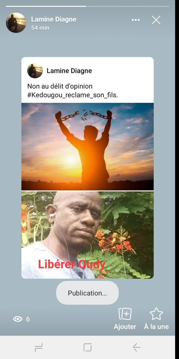 Si vous êtes les grands arbres, nous sommes la perte hache aiguisée prêtes à vous abattre! Libérer @Oudy_Diallo.