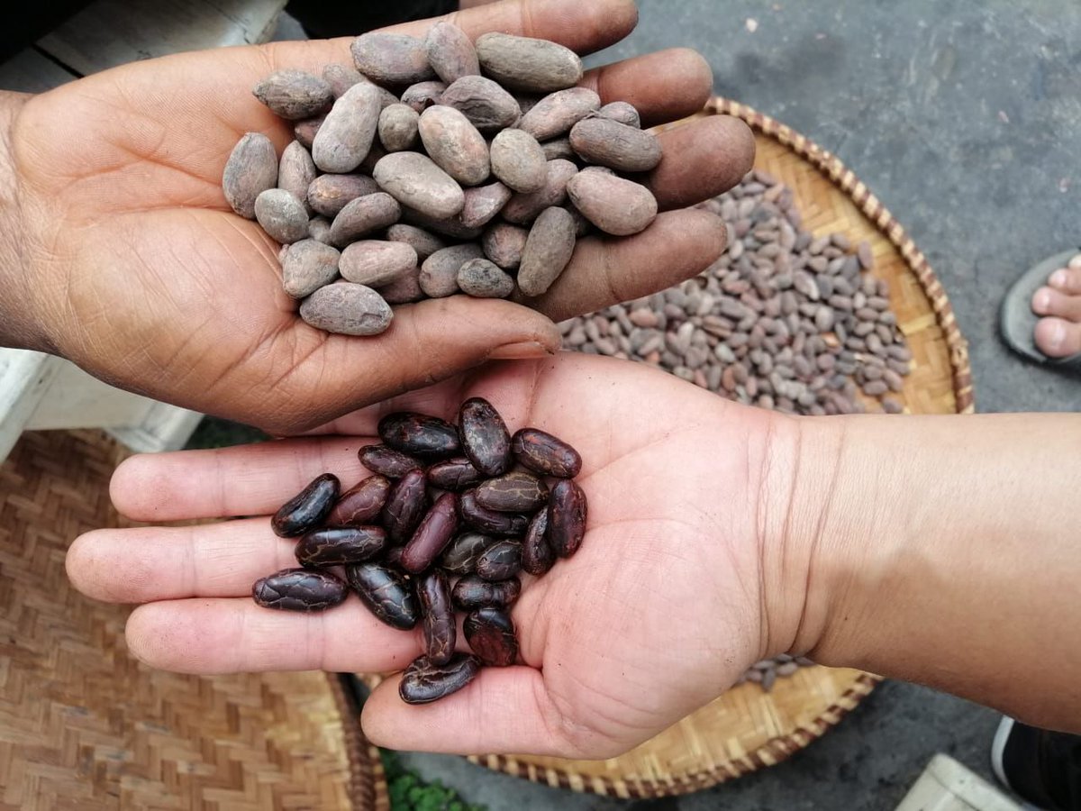 I am Origins tweet media