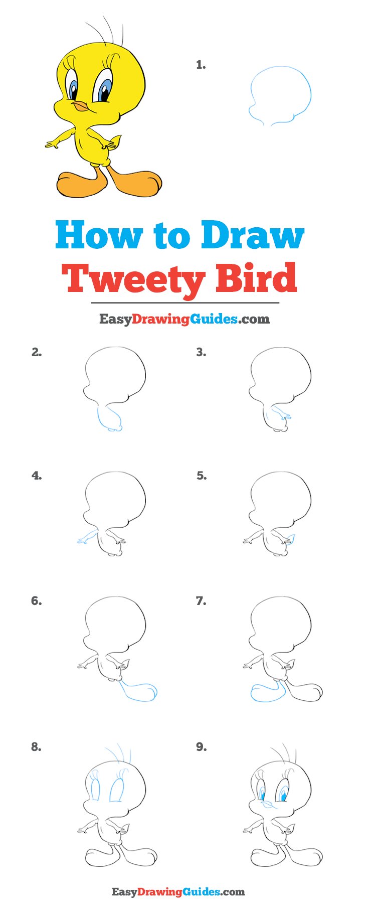 How to Draw a Bird Easy Printable Lesson For Kids