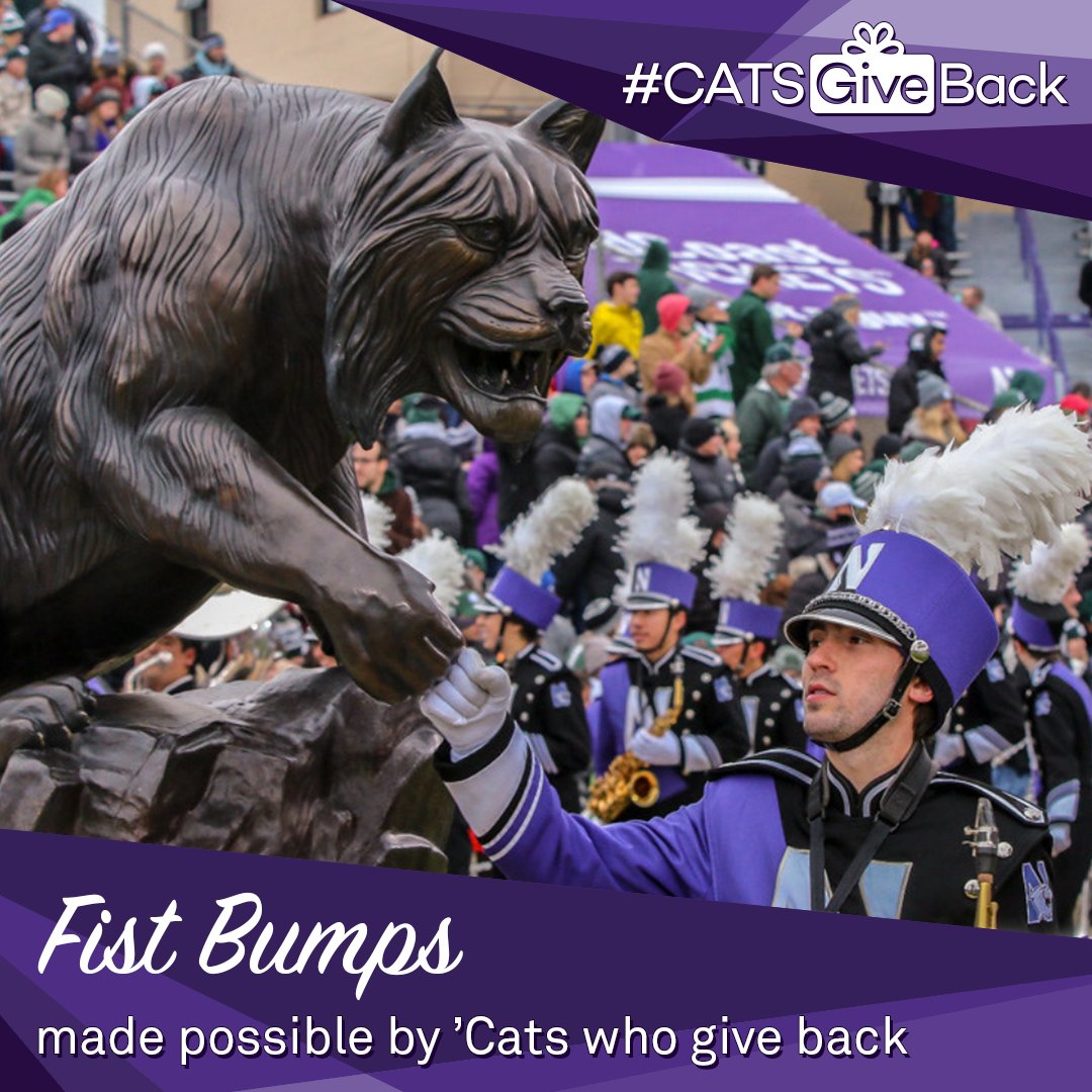 NUMBALUMS's tweet photo. Please support the Push On Fund to secure the future of NUMB and its future members for generations to come. #GivingTuesday #CATSGiveBack. (Photos by Daniel Reck.) https://t.co/6NNVM0U50n https://t.co/pBy4xs04it