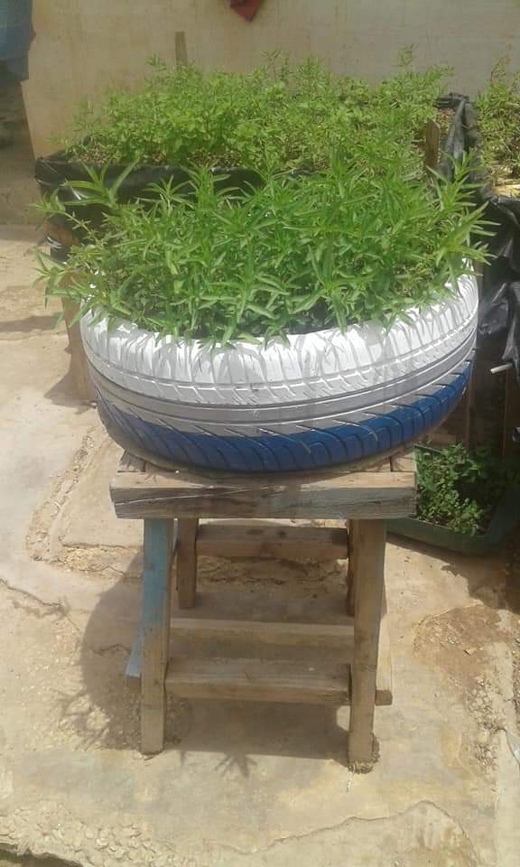 #Recycler_pour_produire_de_la_nourriture
<a href="/AjePour/">AJE - Action pour la Justice Environnementale</a>