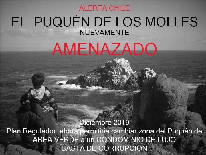 losmollespro's tweet photo. VOLVIO LA CORRUPCION Y EL PODER A LOS MOLLES Y EL PUQUÉN
Pretenden cambiar el Puquén de AREA VERDE a CONDOMINIOS 

¿Quien responde? https://t.co/18HUz3Mn7a
