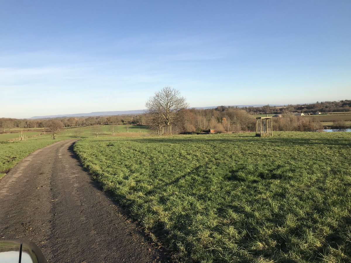 Views across #yorkshire from #westtanfield this afternoon