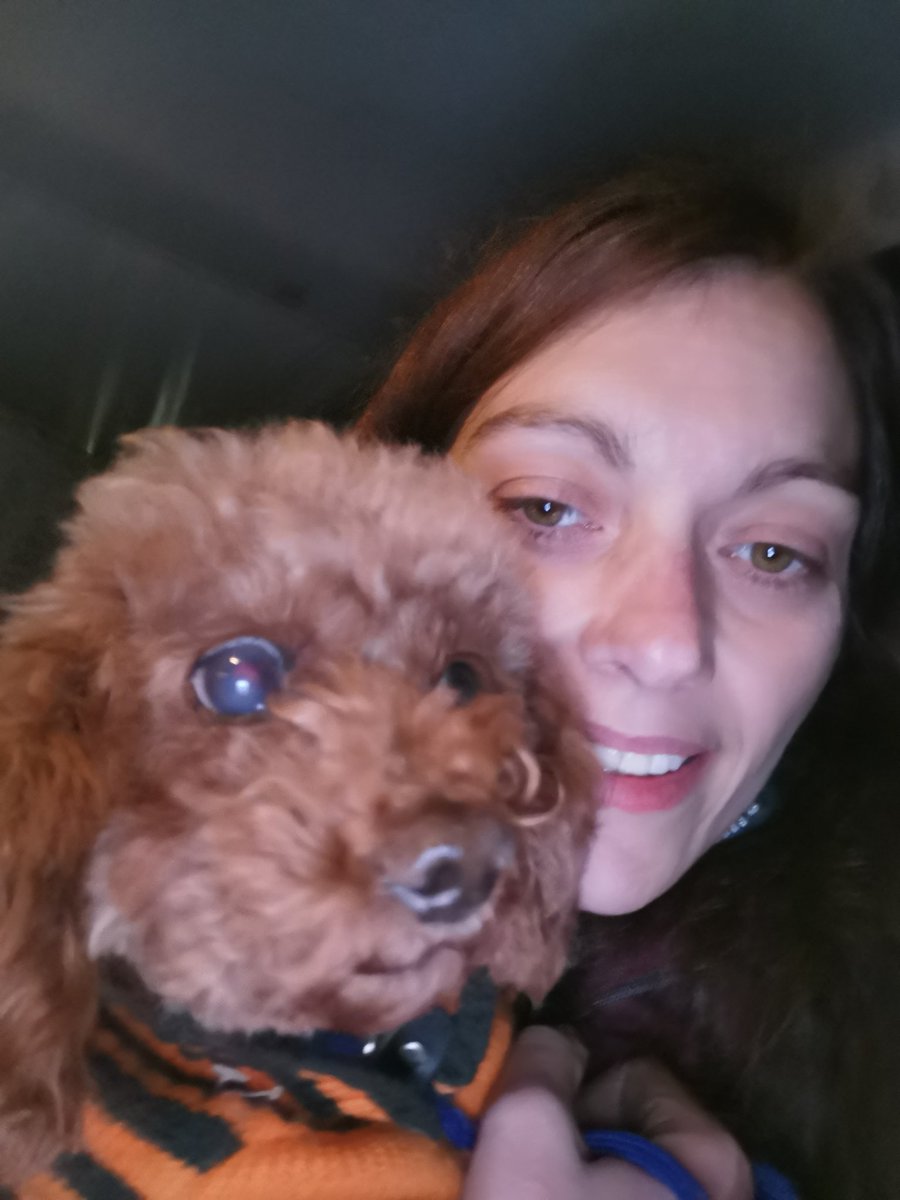 dogbus999's tweet photo. Please accept my full and sincere apologies for not being able to reply to messages and not posting all the fabulous donations of items received over the past weeks for our Romanian trip and dogs in rescue. I will catch up, pinky promise. Love Kris #dogbus #megabusy #sorry π https://t.co/ISk6yqtBCW