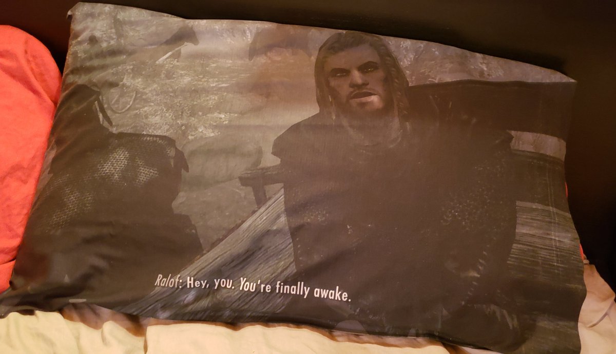 Nintendeal Todd Ported Skyrim To A Pillow Case Huh Nintendeal Todd Ported Skyrim To A Pillow Case Huh