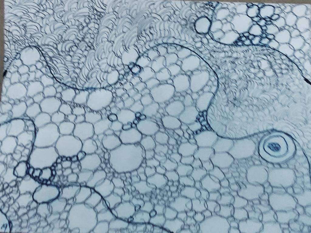 Jared19469766's tweet image. #yetanotherday
Early work on a long road back
#workinprogress