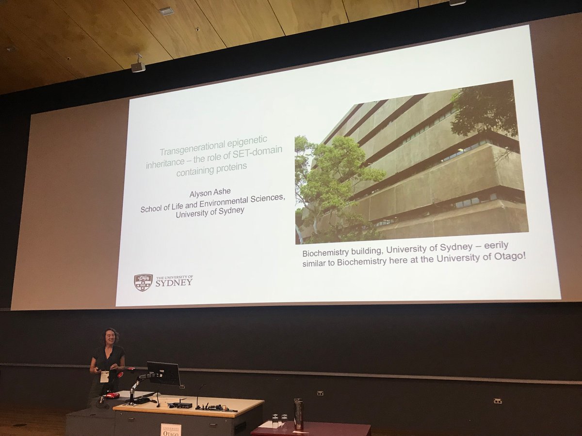 KateGQuinlan's tweet image. @Ashe_wormlab is presenting her research at @TranscriptACT #actxvi19 in today’s final session. Looking forward to seeing your latest results Alyson! @Sydney_Uni @SydneySOLES