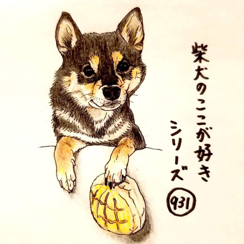 ここ柴 肉球におもちゃがくっつくとこ 布製のおもちゃはこうして持つことができます 意外と落ちない 柴犬のここが好き ここ柴 ここ柴部 柴犬 イラスト 黒柴 ここ柴 肉球におもちゃがくっつくとこ 布製のおもちゃはこうして持つことができます 意外と落ちない 柴犬のここが好き ここ柴 ここ柴部 柴犬 イラスト 黒柴