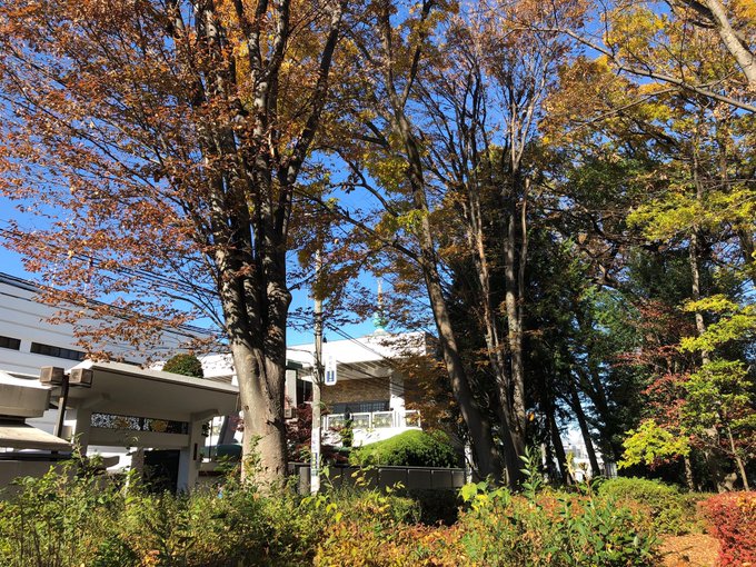 真如苑インフォメーションさん の人気ツイート 3 Whotwi グラフィカルtwitter分析