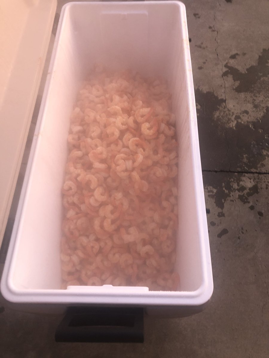 Darrin Dodds tweet media