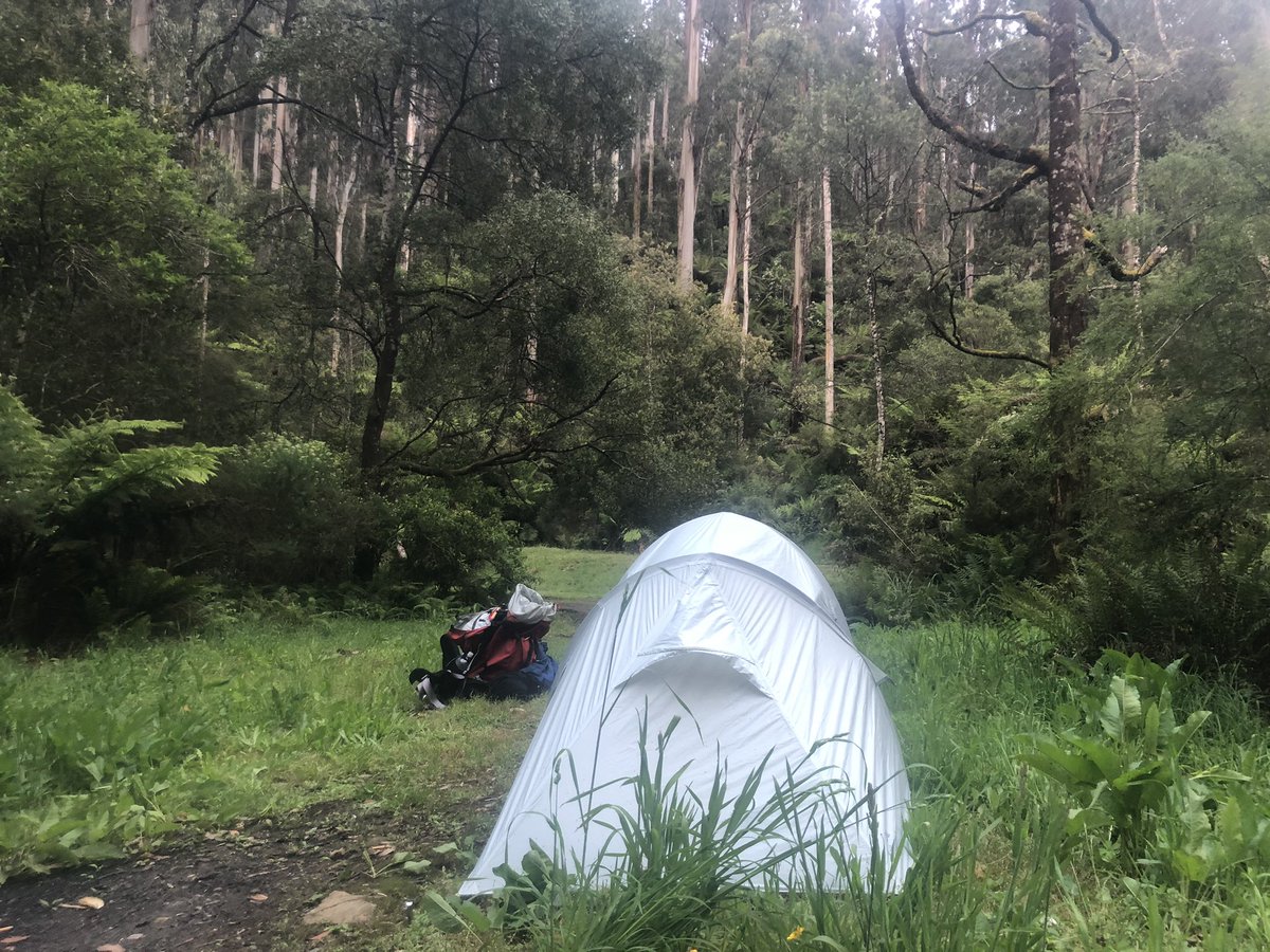 Day two. A very wet and cold river crossing. Treefall everywhere making track an obstacle course. Drizzle. Can’t solar charge phone. Native cherry trees. Gotta climb 1200m vertical metres. That’s four Centrepoint (Sydney) Towers. Give me strength