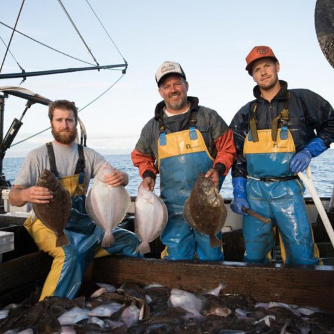 Barnraiser tweet media