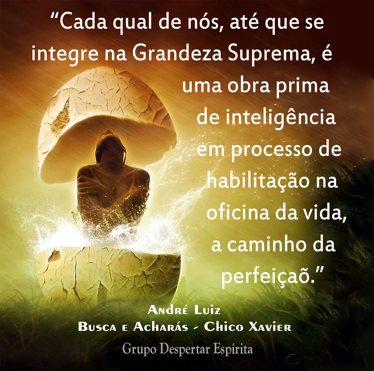 Minha neta, eu desejo para você tudo de melhor que a vida pode oferecer.  Tenha uma boa noite!, image size:1200x1190