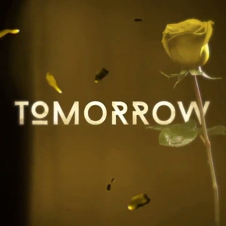 paramount-on-twitter-a-new-tale-begins-tomorrow-tellmeastory-https