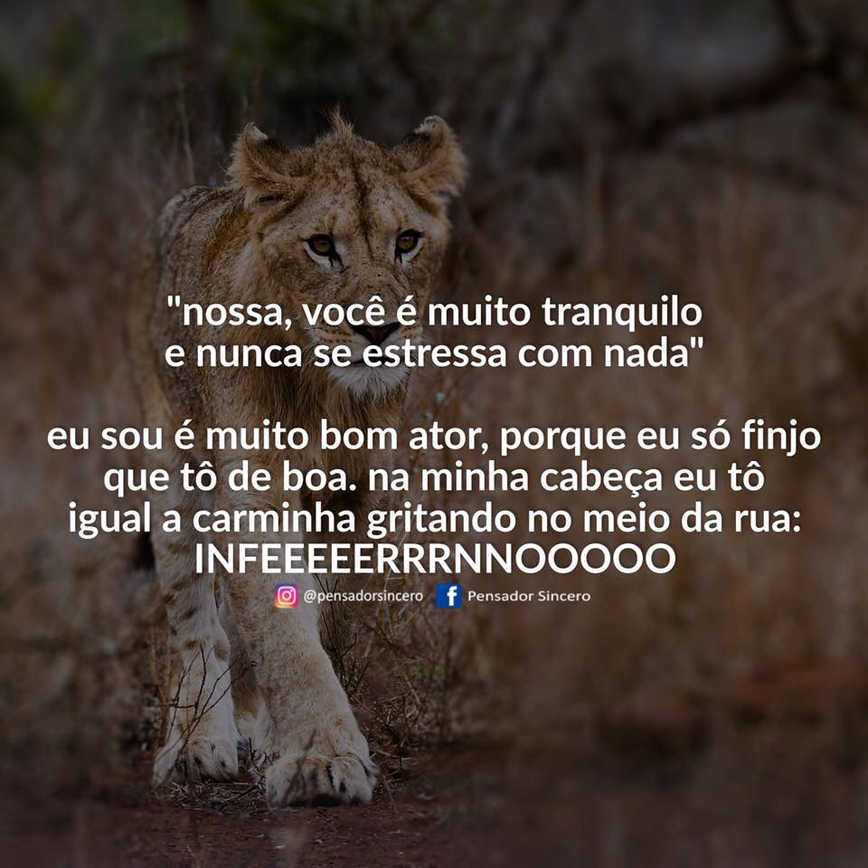 na moral kkk, image size:960x960