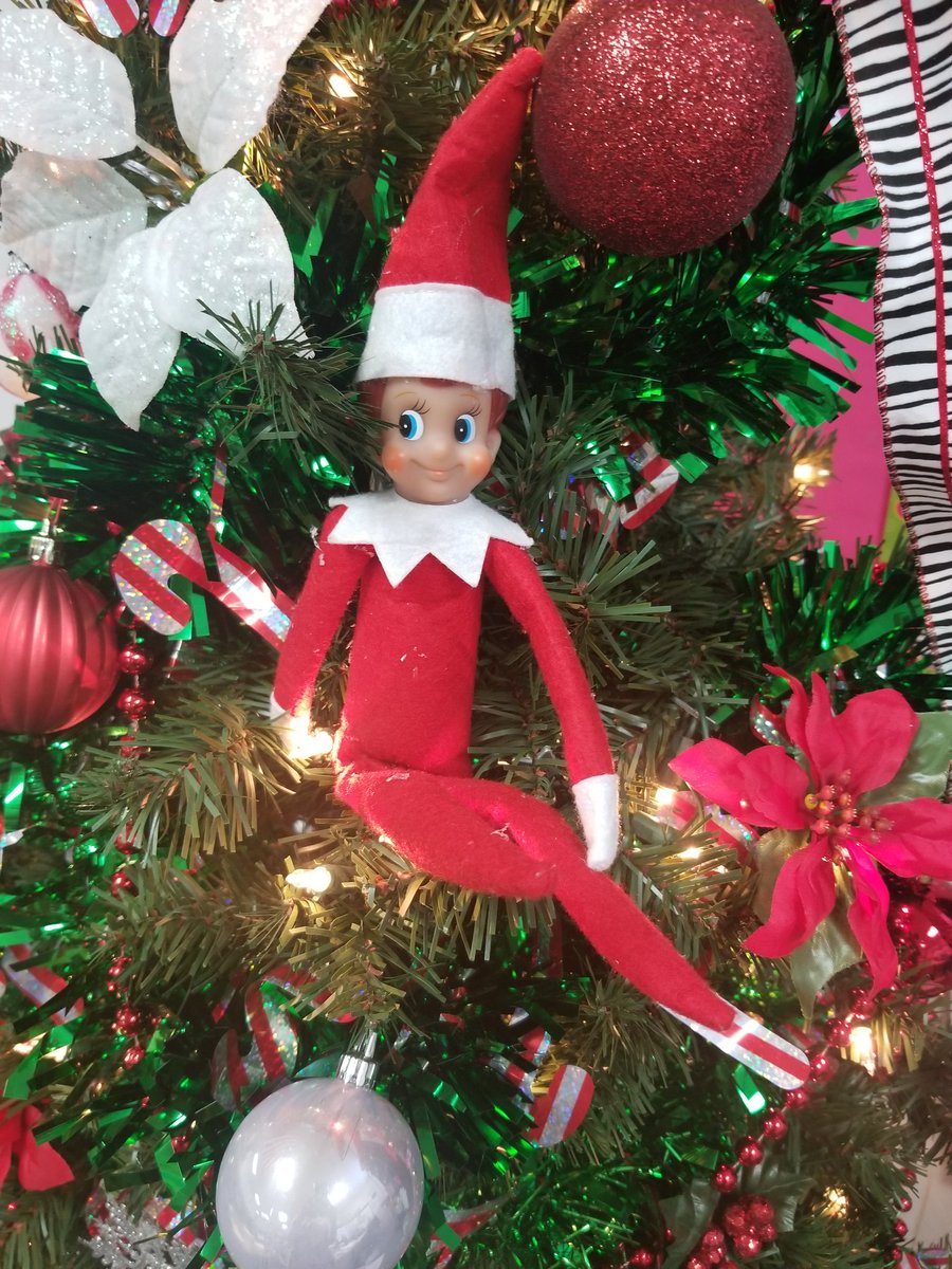 theMrsM's tweet photo. Our @WISDCannan Kinder Kiddos were so excited for their special delivery from the North Pole! Welcome to the class Waylon @elfontheshelf &amp; his twin Willie! @WillisSchools https://t.co/AQYlD7ZEWA