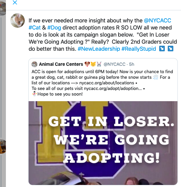 GiveLuckyBack's tweet photo. The @NYCACC is failing miserably in Direct Adoptions.  In a pool of at least 9MM potential adopters getting only 2,000 #Animals placed is a disaster.  Why can't we get a change in management? Are the standards in the #NYCGovt this low?  #FireRisa #NewIdeas #NewMarketingTeam RT https://t.co/FpNod0mFGo