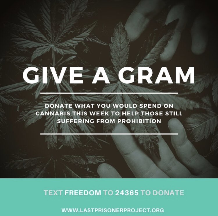 OGextracts's tweet image. We support the @LastPrisonerProject’s #GiveAGram campaign, aimed at getting supporters to donate what they would pay for a gram of #weed each month until the last #cannabis prisoner has been set #free. Consider donating this holiday season &amp;amp; help repair the harms of prohibition.