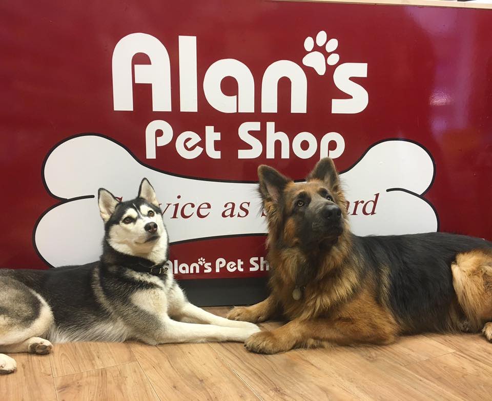 Discover Crieff tweet media