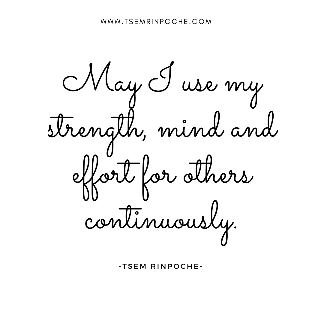 junekang's tweet photo. Wise  words from Tsem Rinpoche

#QOTD  #WordsToLiveBy #WordsOfWisdom #InnerPeace #InnerReflection #WiseWords #Courage #personalgrowth #successquotes #TsemRinpoche #Kechara #PositiveVibes #positivethinking #Mindset #happiness https://t.co/KD8jBuR5lR
