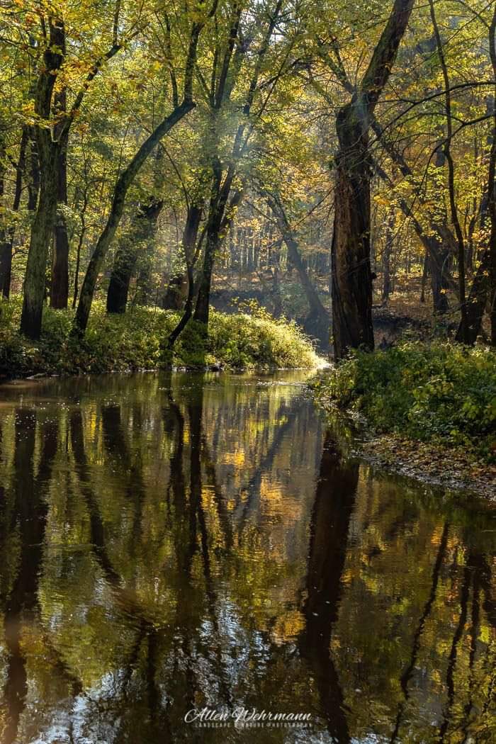 Please consider a gift to help preserve and improve the art, nature, history, and peace of Allerton for the next generation. They have yet to discover this magical place.

allerton.illinois.edu/donate-to-alle… #givingTuesday #allinforAllerton #withIllinois

📸: Allerton Park Photography Group