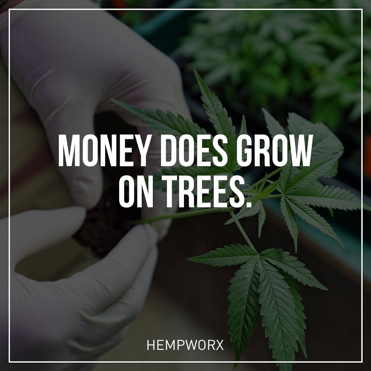 cbdbizz's tweet image. Start a CBD Business! The CBD Market Will Hit $22 Billion by 2022!
Visit Us Now: cbdbizz.com
#CBD #cbdoil #cbdbusinessopportunity #CBDstore #CBDstore #cbdnews #CBDelivery