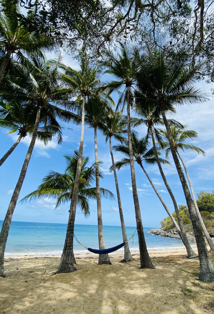 Feel like hanging out?...