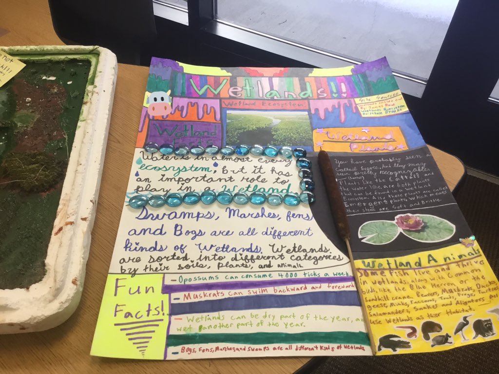 mrberlingsclass's tweet photo. It is amazing what students create when you establish interest with strong #inquiry and questioning. Let them share their creative side! https://t.co/fewxWJSeVG