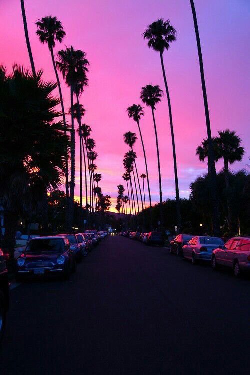 pictures tweet picture