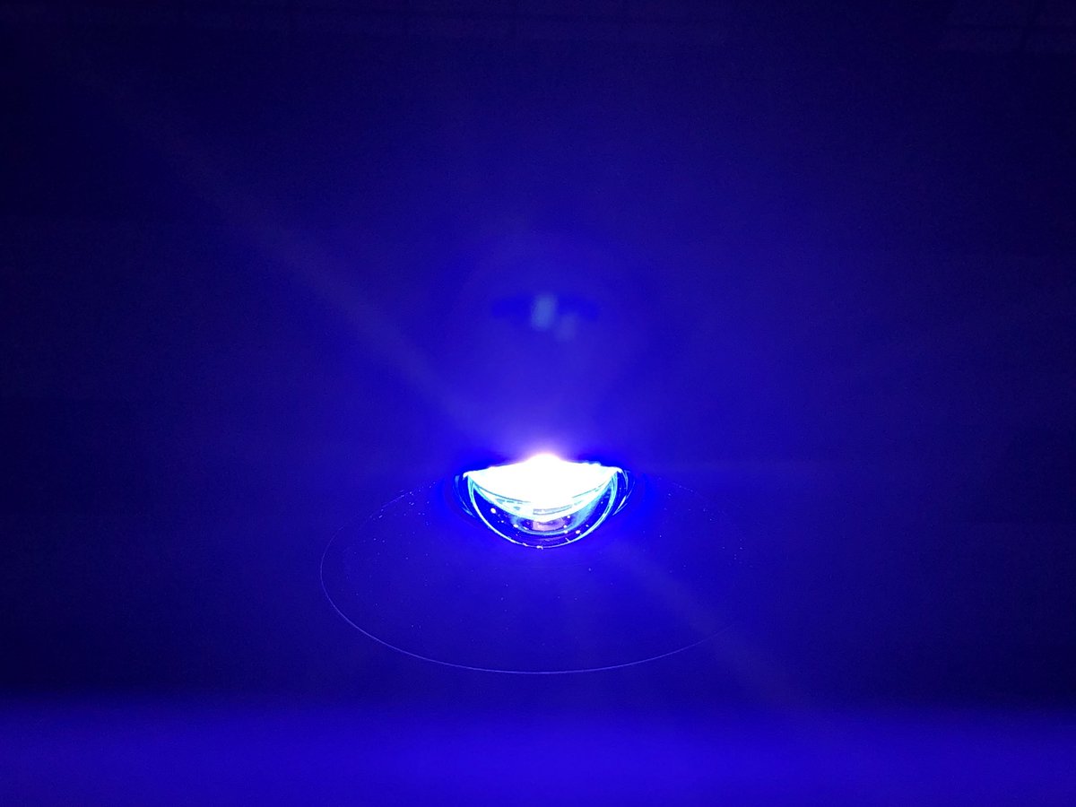 peninsula_reef's tweet image. リーフLED使用して1ヶ月
グリーンからパープルに変化してきた
#ReefLED #redsea #ミドリイシ #サンゴ #coral