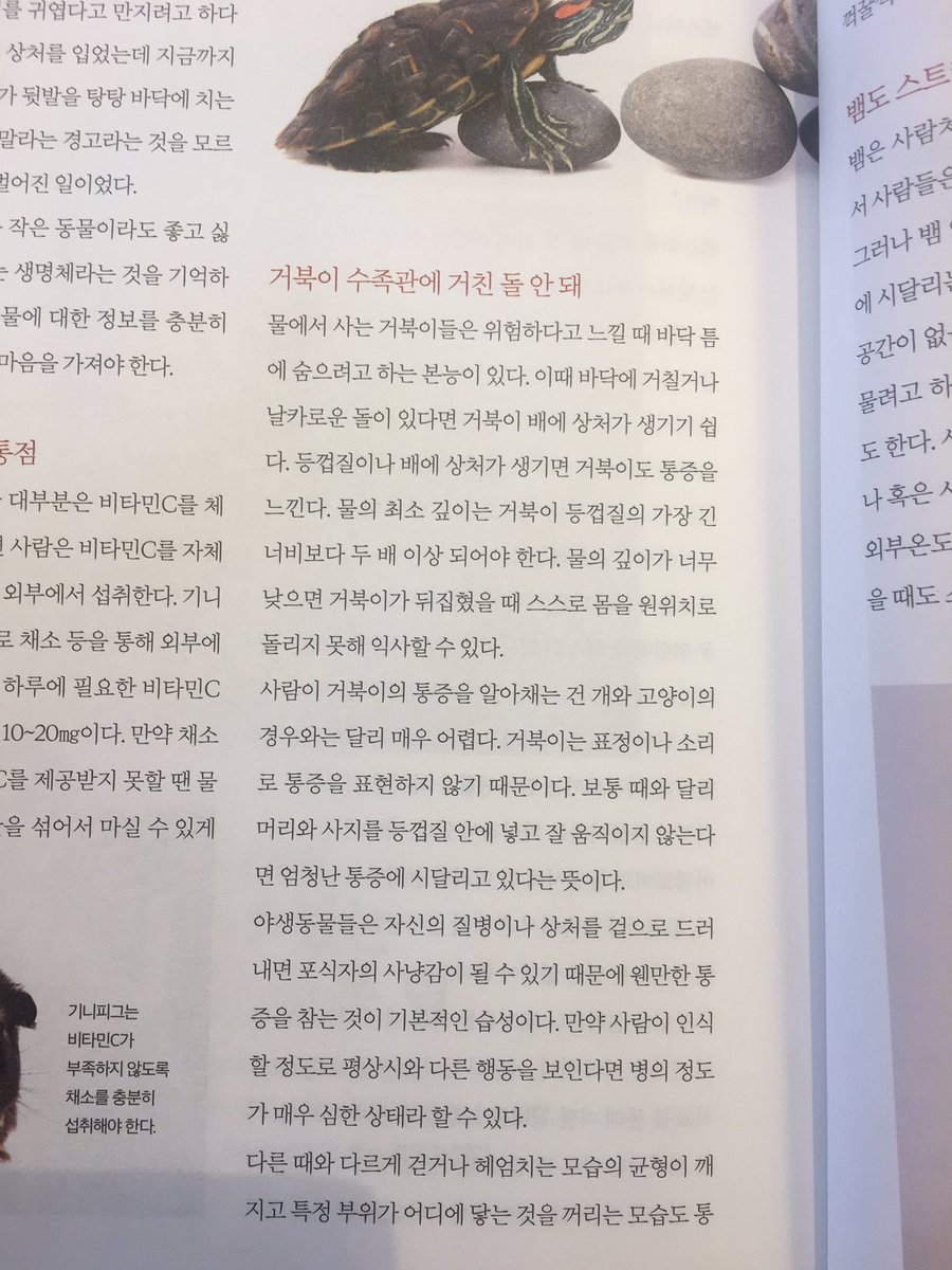 “(#거북이 가) 머리와 사지를 등껍질 안에 넣고 잘 움직이지 않는다면 엄청난 통증에 시달리고 있다는 뜻이다.”(글: 잘키움행동치료동물병원 이혜원)