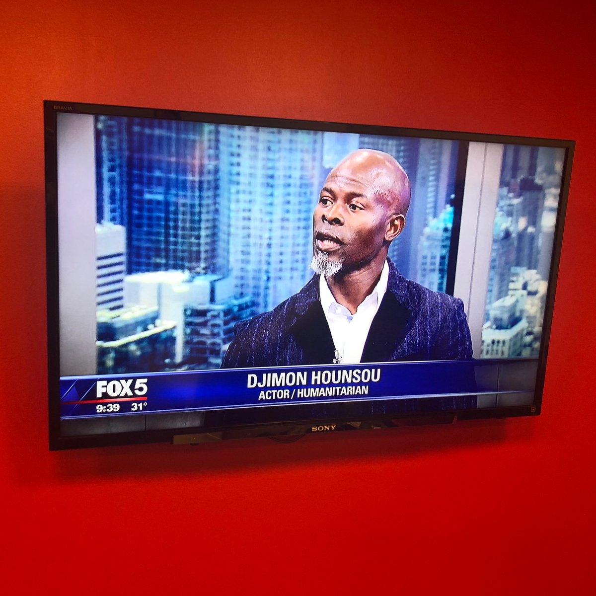 GateofReturn's tweet photo. Actor, Producer, Humanitarian, and Founder of the Gate of (No) Return Marathon and Festival, Mr. Djimon Hounsou, on FOX 5 News this morning speaking about the marathon and festival and his newly founded nonprofit, Djimon Hounsou Foundation. https://t.co/avbvjxJ2yS