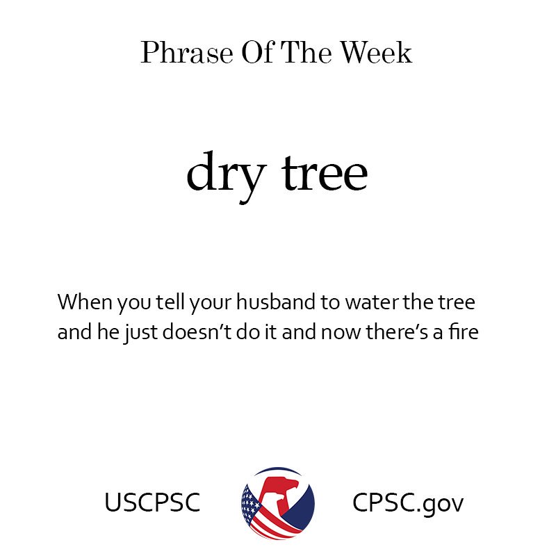 Phrase of the week. Dry tree. When you tell your husband to water the tree and he just doesn't do it and now there's a fire.