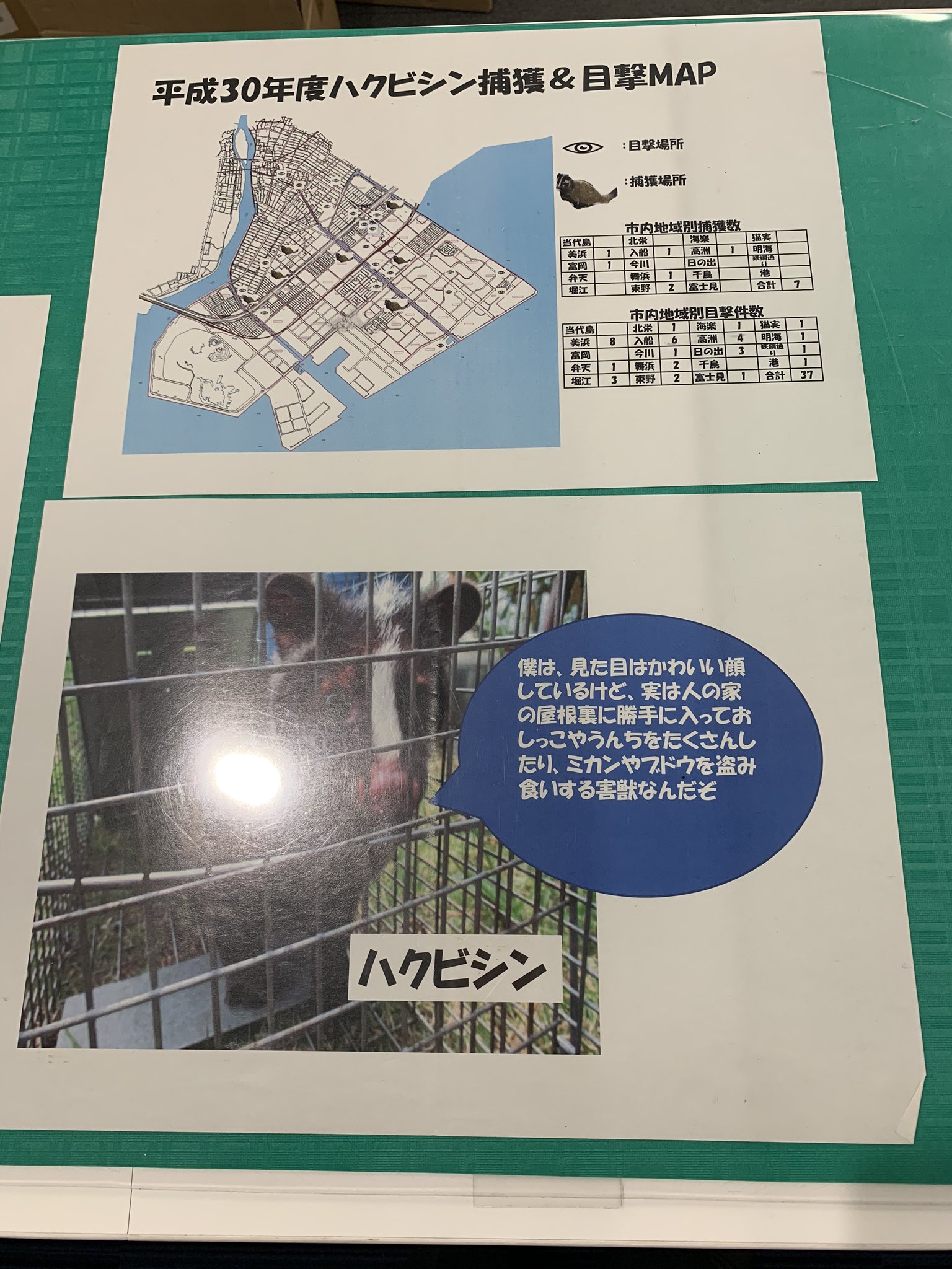 みせ麻里日本共産党浦安市議 ハクビシンを猫実3丁目でも見かけたことがあります 浦安市内で目撃されたら 浦安市役所環境衛生課へご一報をお願いします 041 351 1111 代表電話番号 眼の 印は目撃情報の場所 ハクビシンマークは捕獲した場所です