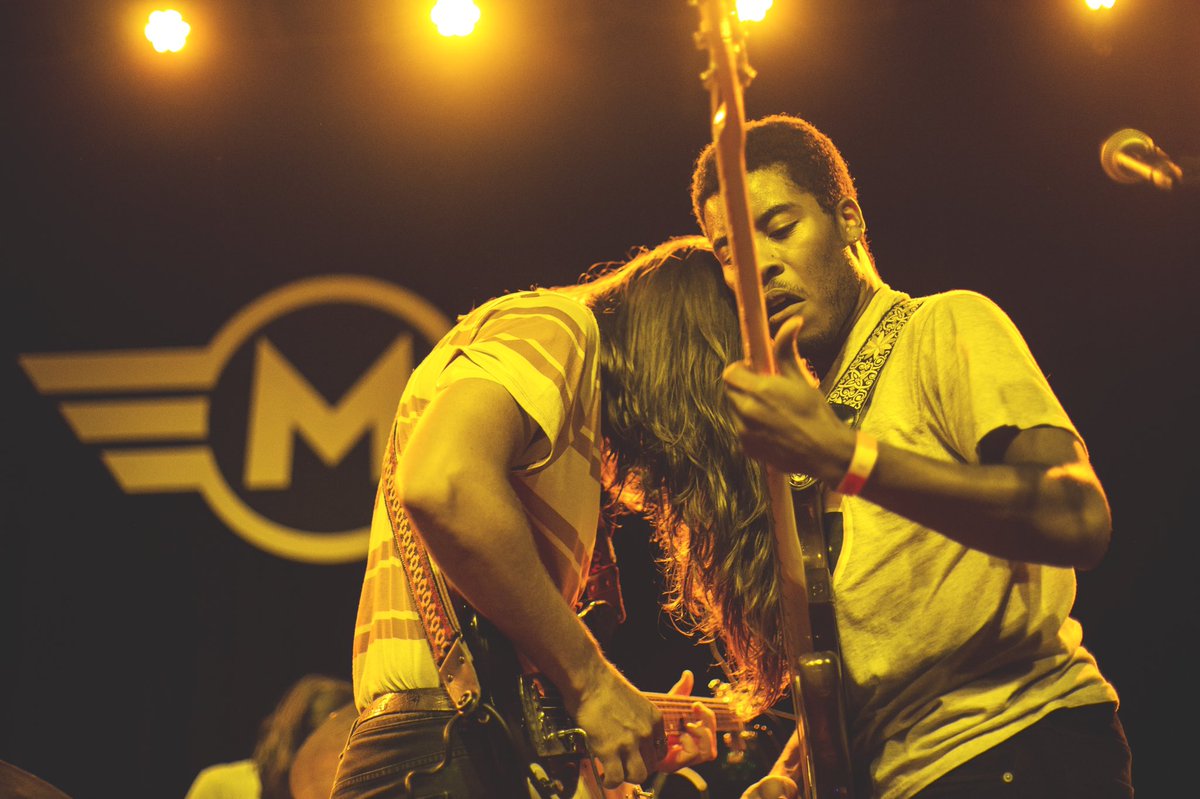 The Lonely Biscuits tweet media