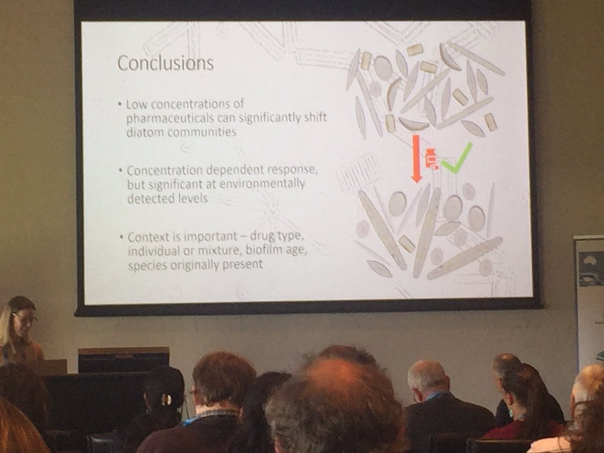 Dr. Krista Bonfantine π§π₯ (@aridideas) on Twitter photo <a href="/StephRobsonAus/">Steph Robson</a> shares concentration-dependent #diatom response to #pharmaceuticals. #AFSS2019 #NZFSS2019 <a href="/StephRobsonAus/">Steph Robson</a> shares concentration-dependent #diatom response to #pharmaceuticals. #AFSS2019 #NZFSS2019