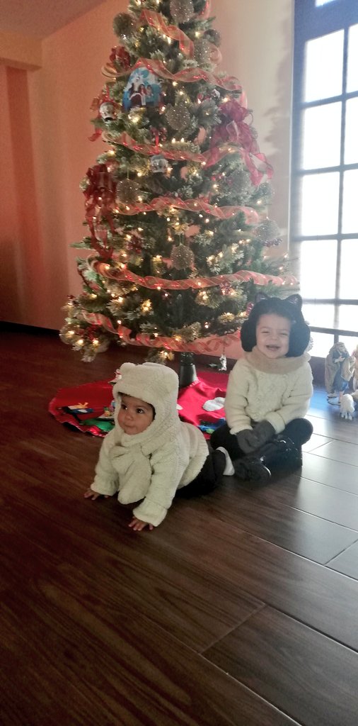SoniiRios's tweet photo. Esto es felicidad #FirstChristmasTree 🎄❤️🙏 https://t.co/KbkwtzKzAC