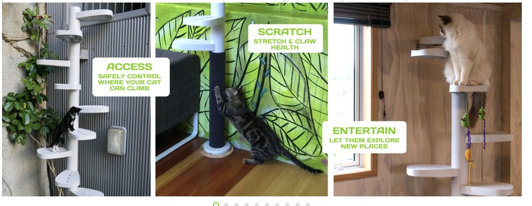 DashKitten's tweet photo. Proudly #MadeinNewZealand and #DesignedinNewZealand https://t.co/l4SQpzmSjF versatile and durable #MonkeeTree is a great #catlovers treat for your cats. #sponsored https://t.co/VBoFOc4mLC