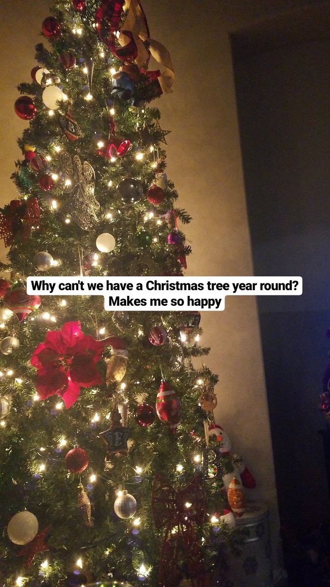Myshapestory's tweet photo. For real why? #christmasspirit #sohappy #christmastree #JoytotheWorld https://t.co/5UXL2mav10