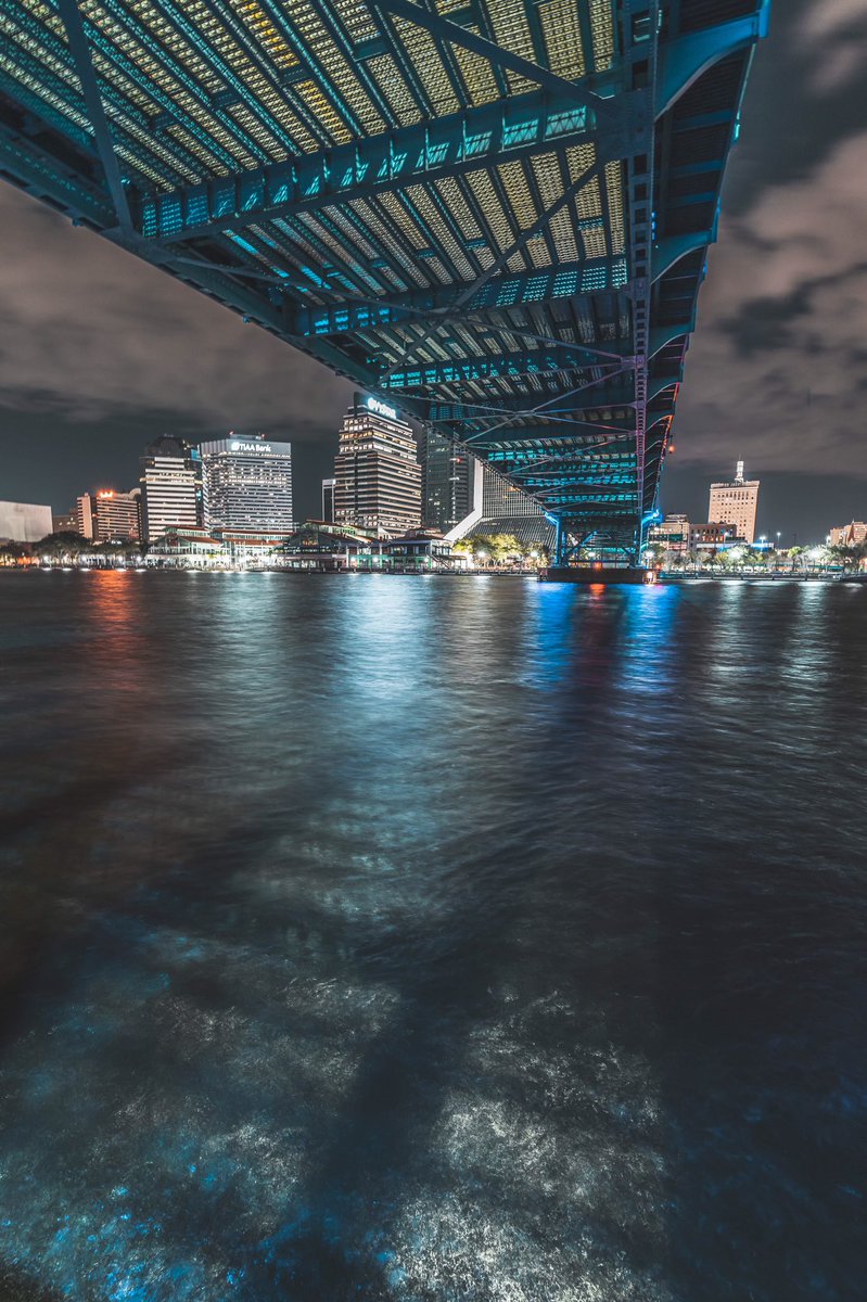 Dee from Flawda tweet media