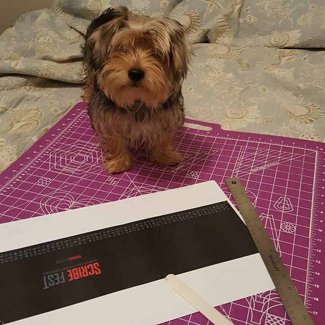 Making another copy of a book for the ADDYs and it would seem I have an assistant. It's a good thing he is cute since he kept stealing the clips I use for binding. 😅 #dogmom #bookbinding #graphicdesigner #artstudent