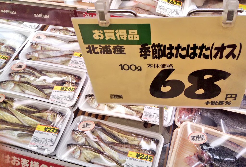 コトネ東北 スーパーで生ハタハタ 普通に買える季節に オスとメス 子持ち 比較 やっぱり子持ちは高いなぁ しばらくにらめっこ うーん やっぱりブリコ食べたいから 夕食は子持ちの塩焼きだな 秋田 Akita ハタハタ はたはた T Co コトネ東北 スーパーで生ハタハタ 普通に買える季節に オスとメス 子持ち 比較 やっぱり子持ちは高いなぁ しばらくにらめっこ うーん やっぱりブリコ食べたいから 夕食は子持ちの塩焼きだな 秋田 Akita ハタハタ はたはた T Co