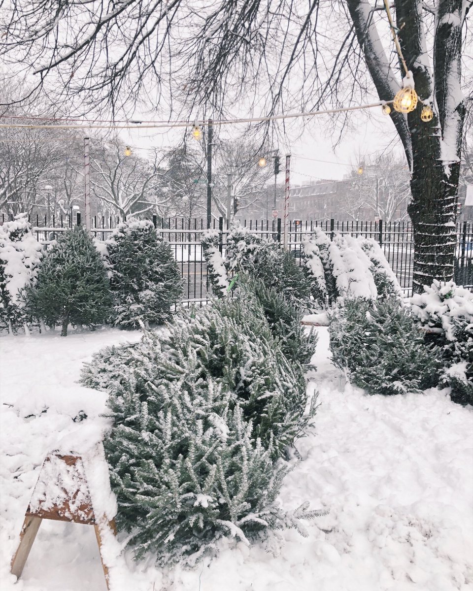 #boston friends ~ come say hello this Saturday AM! Meet &amp; greet and my holiday drive info is here ❤️ extrapetite.com/2019/12/boston…