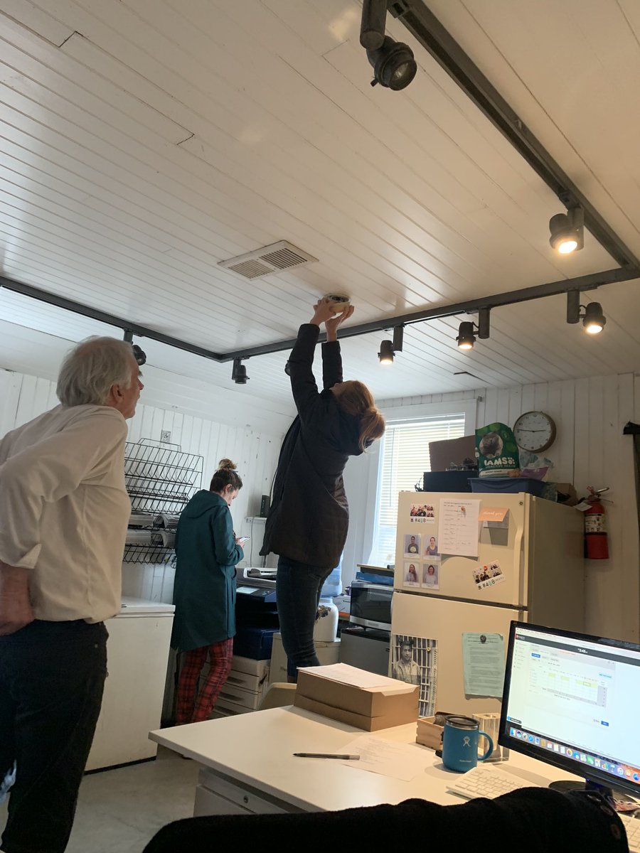 Veggielution's tweet photo. We’ve discovered the question of the decade. 

How many nonprofit professionals does it take to change the battery in the smoke detector? 

#SafetyFirst #GivingTuesday #NonprofitHustle https://t.co/YNQGimTHPB