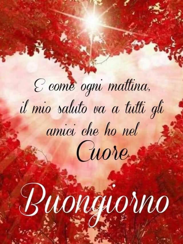 Gaetano Musella Gaetanomusella Twitter