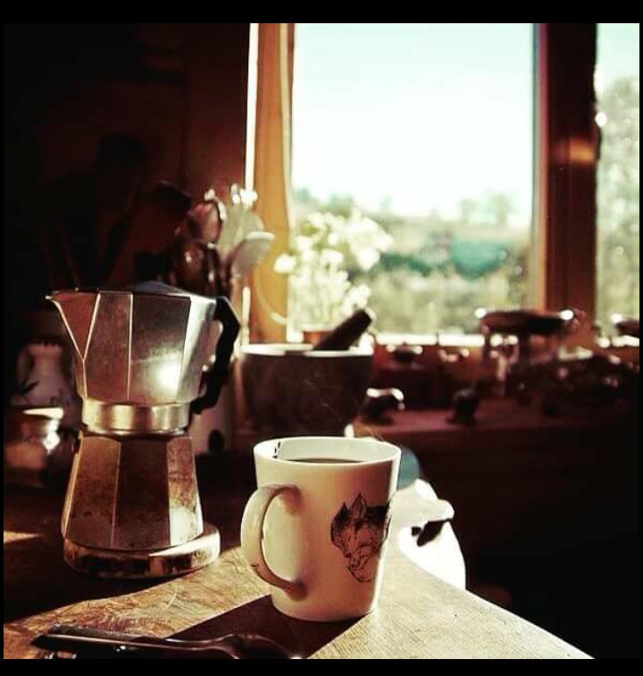 beamonte_maria's tweet photo. @lanegrapaz 🌄👋☕...❤ https://t.co/adFh55S1zS