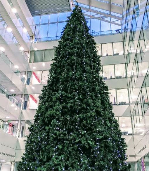 Argos_Business's tweet photo. WIN festive cheer for your office!
Our tree is up &amp; we want to spread smiles by giving your team the chance to win a £100 Argos eGift Card, to kit you out with Christmas decs &amp; treats! To enter, follow us, RT &amp; reply tagging your company.

Last entry at 12pm 9.12.19. Ts&amp;Cs apply. https://t.co/6uvDc0Fr97