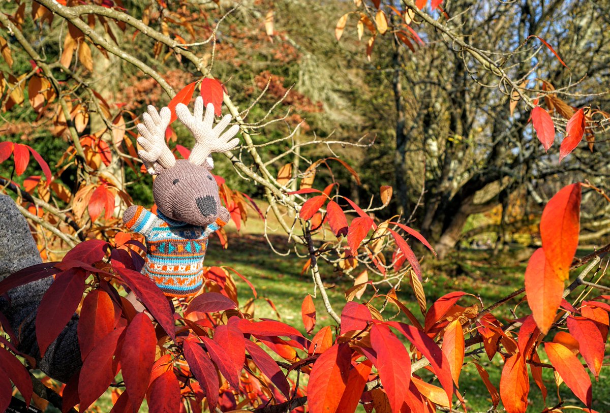 4firststeps's tweet image. With Christmas very nearly upon us, you can now buy many of our wonderful, ethical and eco-friendly toys and essentials at bargain prices ❤️ Browse beautiful bamboo dinner sets, wooden toys, soft toys, puzzles and much more forfirststeps.com/collections/ch…