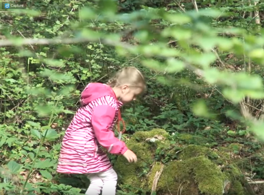 PoleESEara's tweet photo. [#vidéo] Eduquer et enseigner #dehors | Dans le Doubs, le GRAINE BFC et la FCPE accompagnent depuis l'automne 2018, 3 écoles dans une démarche expérimentale #éducation #nature https://t.co/V1XMEAhcpt cc @IrepsBFC https://t.co/RwDzfxWGhO