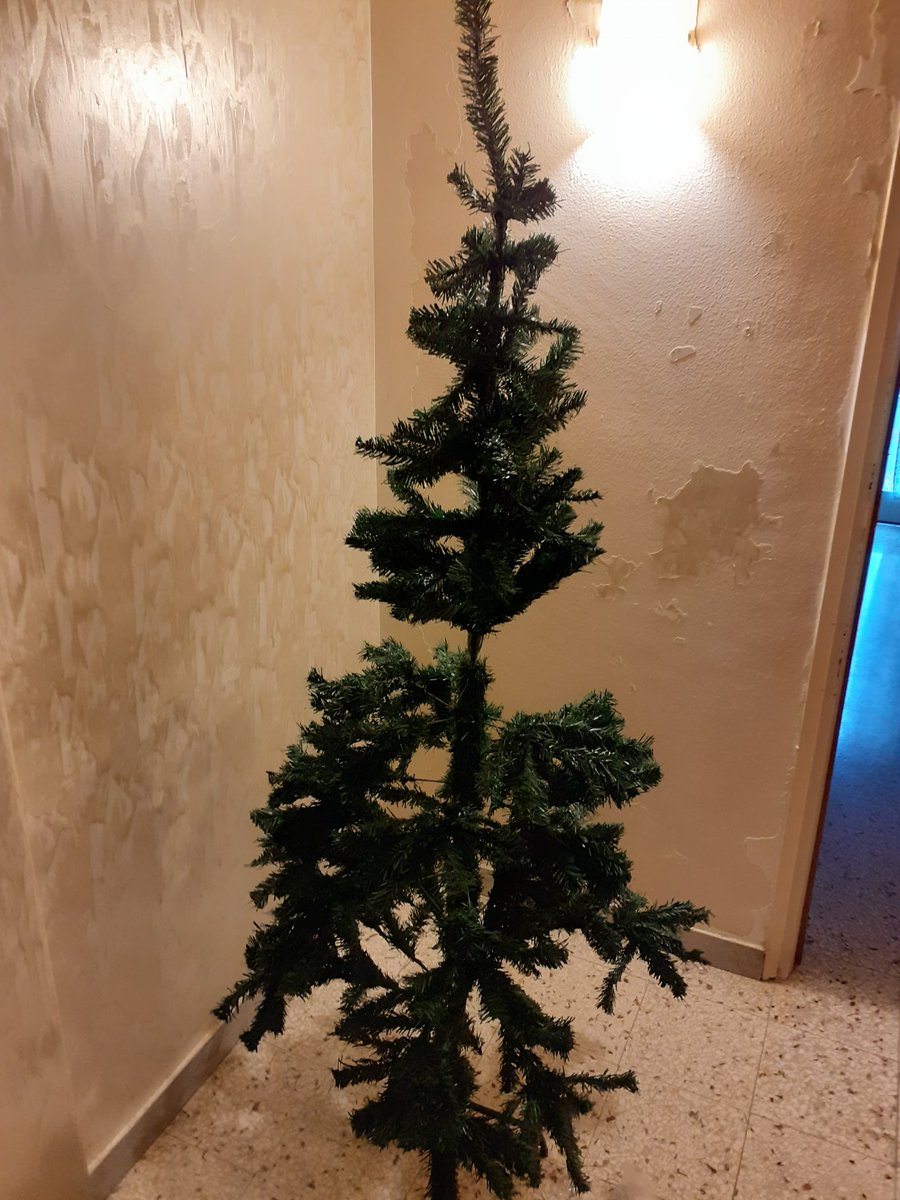 mar_aie's tweet image. #SpelacchioIsComing